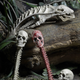 Illustration for article titled Amazingly Gross iPredator/i Toy Accessory Pack Comes With Bloodied Bones and a Skinned Human